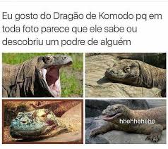 Pin De Mota Em Funny Memes Engracados Engracado Comedias