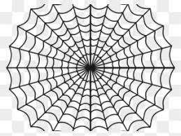 See an animation of a spider building a spider web, learn about the parts of spider webs and find out how spiders catch prey. Spider Web Clipart Spiderman Web Coloring Page Of Spider Web Free Transparent Png Clipart Images Download