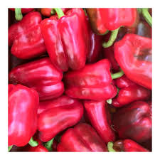 poivron rouge
