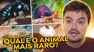 Netolab в X: „QUAL O ANIMAL MAIS RARO DA NATUREZA? A) Janguru Australiano  B) Felipe Nelson C) O Cachorro Maneiro https://t.co/c3Sg8cnFRX  https://t.co/JeUhVaHGls“