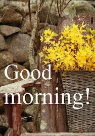 38 Good Morning Flower Images For Free Download Hd Pics Good Morning Flowers Good Morning Images Good Morning