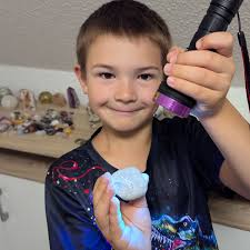 Niendorf-Ostsee: Junge findet an Steilküste 420 Millionen Jahre altes Fossil