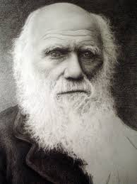 Charles Darwin:Powerful Legacy For Science And Art by techgnotic