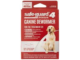 The Best Dog Dewormer You Can Buy Business Insider
