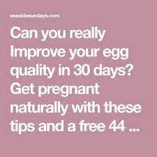 How To Improve Your Egg Quality In 30 Days Seaside Sundays Egg Quality Improve Yourself Natural Fertility