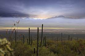 Tucson Mountain Park Arizona Land And Water Trust