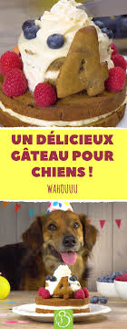 Un Delicieux Gateau Pour Chiens Wahouuu Gateau Chien Animaux Friandises Chocolat Gateaux Pour Chiens Gateau Chien Recettes De Nourriture Pour Chien
