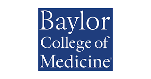 Baylor secondary application essays (examples included). Baylor College Of Medicine Enrolling Patients In Study To Train Ai In Assisting Breast Cancer Surgery Or Today
