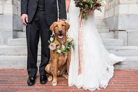 Hand delivering beautiful flowers and bouquets across birmingham with same day delivery. Wedding At The Club Birmingham Al Kelli Daniel Taylor Photography