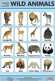 Wild Animals Chart Wild Animals List Wild Animals