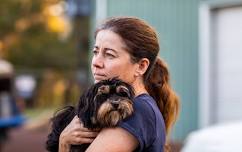 Avery’s Law and the Link Between Animal and Human Violence