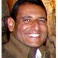 PDF) Differential response of some nematode-resistant and susceptible  tomato genotypes to Meloidogyne javanica infection