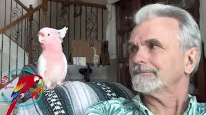 Mitchell Major's Instagram, Twitter & Facebook