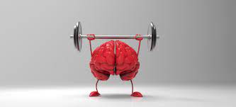 6 Ways To Keep Your Mind Sharp | Starhaven Villas