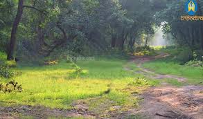 Don't miss any of the action at angel stadium. Tadoba National Park Information Timings Entry Fees Online Booking