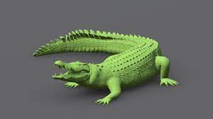 Crocodile Buy Royalty Free 3d Model By Megagers Megagers 9b51191