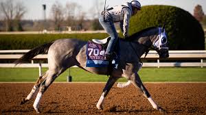 To no one's surprise, this year's showpiece at churchill downs has faced a struggle to emerge from the furore. 2021 Kentucky Derby Early Betting Profiles Analysis Sports Illustrated