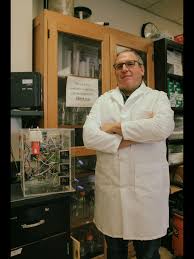 Jonathon Stillman, SF State biology professor, reflects