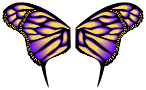 Check spelling or type a new query. Butterfly Wings Pattern Drawing Novocom Top