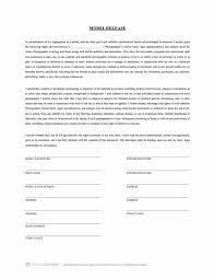 Sample Advertising Contract Lovely Sample Advertising Contract Best ...