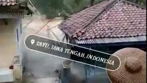 Loncenggunung rowo viral | kronologi & review lokasi#. Viral Video Banjir Bandang Di Tayu Pati Polisi Hoaks