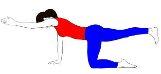 Our balance is one of the most important factors in staying mobile and relaxation yoga poses. Hands And Knees Balancing Yoga Pose Balancing Table Pose Sarvyoga Yoga