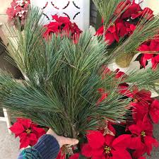 We did not find results for: Candler Park Flowers Home Facebook