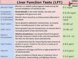 Image result for Liver Function Test