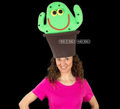 Maybe you would like to learn more about one of these? Gorro Gomaespuma Cactus Kostum