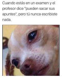 Taringa Es Una Comunidad Virtual Donde Los Usuarios Comparten Todo Tipo De Informacion A Traves De Un Sistema Colaborativo De Int Funny Memes Love Memes Memes