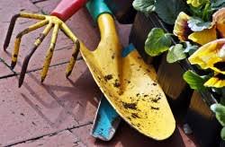 Am besten während zunehmenden mondes. Gartnern Nach Dem Mondkalender