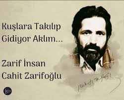 Cahit Zarifoglu Kuslara Takilip Gidiyor Aklim Kus Guzel Soz Meditasyon