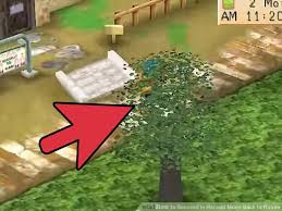 Harvest moon back to nature walkthrough pdf. How To Succeed In Harvest Moon Back To Nature Catatan Adit