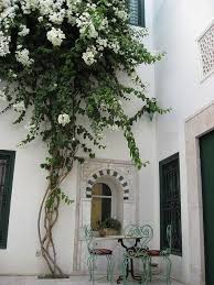 Tunis Courtyard With White Bougainvillea Idees Pour La Maison Jardins Amenagement Jardin Jardin Mediterraneen