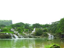 Know the habits of sea creatures to stay safe at the beach. O Man This Is Paradise On Earth Lush Green Cool Wadis Calling Arab News