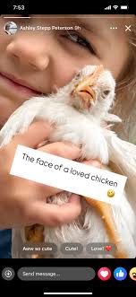 Thoroughbred horse behavior