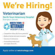 This information is used by us for contacting and identifying customers and their needs. Vetstrategy On Twitter North Town Veterinary Hospital Is A 24 7 Emergency Pet Hospital Offering Emergency Critical Care Services And Non Emergency Companion Animal Care They Are Looking For An Experienced Veterinarian To