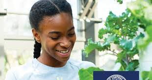 Daniel Kallen's Instagram, Twitter & Facebook