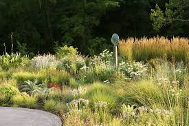 Adam Woodruff Associates Jones Road Landscape Projects Landscape Design Beautiful Gardens