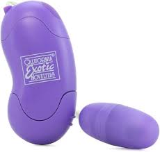 Amazon.com: CalExotics Dr. Laura Berman Intimate Basics Lila - Waterproof  Bullet Vibrator - Adult Toys for Couples - Wired Pocket Massager - Purple :  Health & Household