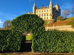 Exotische kiwis im eigenen garten kultivieren ist dank der robusten und winterharten züchtungen auch in unserem klima möglich geworden. Strahlengriffel Kiwi Actinidia Arguta Gunstig Online Kaufen