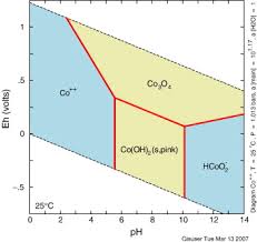 Image result for Pimpinella acutidentata