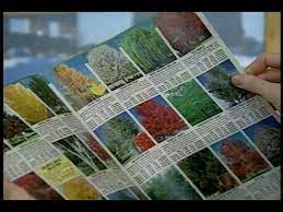 Information on this site has been broken into major production systems: Integrated Pest Management In The Home Landscape For Trees And Shrubs Youtube