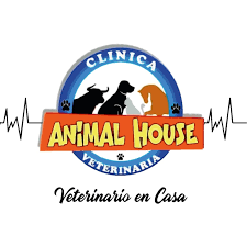 Clinica Veterinaria Animal House