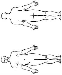 My little pony human coloring pages. Kids N Fun Com 17 Coloring Pages Of Human Body