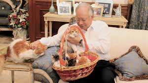 On 3rd april 2009 kuala lumpur, jan 6 — former umno president datuk seri najib razak has denied tan sri annuar musa's claim that the malay nationalist party is. 391 Dato Seri Najib Pencinta Kucing