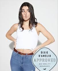 Pin By Charli 33 On Dixie D Amelio In 2020 Dixie America Girl Beautiful People