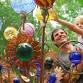 Yellow Daisy Festival at Stone Mountain