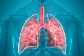 Pain that does not improve at least a little after 24 hours of regular i sometimes think it would kill me but not from anxiety. Mucus In Your Chest See 8 Different Causes And How To Remedy It