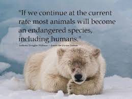 The Ones You See As Radical Are Often Simply Trying To Better Themselves For Others As Well As Themselves 3 Animal Activism Endangered Species Save Earth